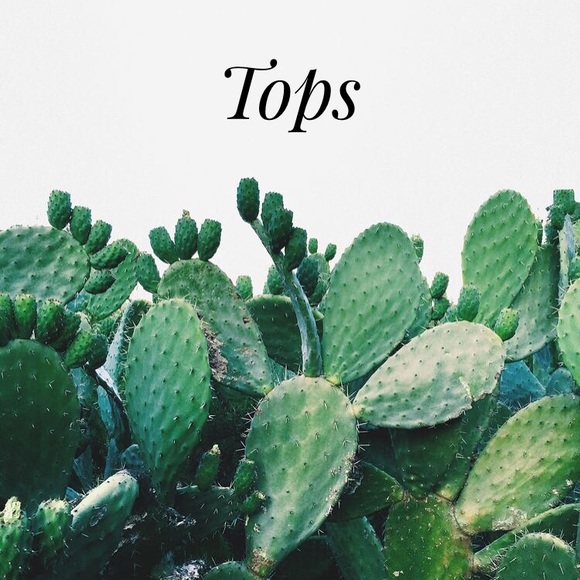Tops - Picture 1 of 1