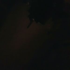 Meet your Posher, Tenika