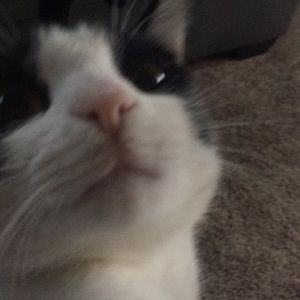 Meet your Posher, Kasandra