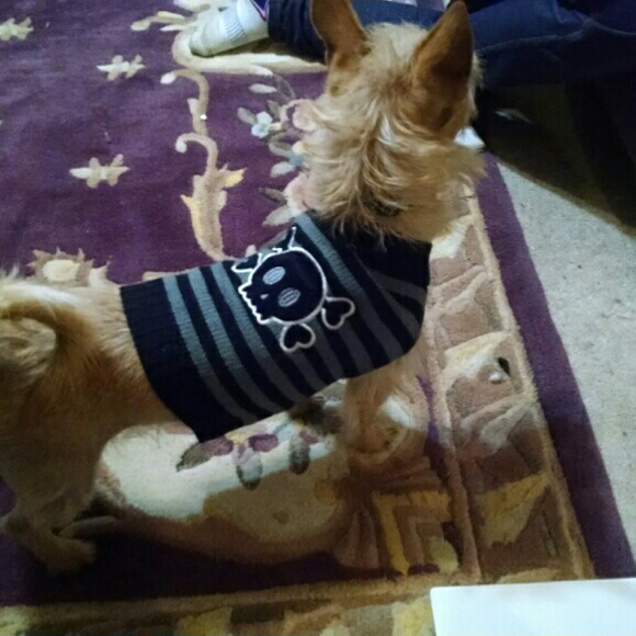 Meet your Posher, Kimberly - Picture 1 of 1