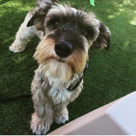 Meet your Posher, Bismarck - Picture 1 of 1