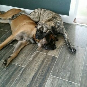 Meet your Posher, Beth