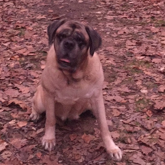 Meet your Posher, Shelly