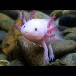 Meet your Posher, Maritza