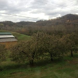 Meet your Posher, Teri