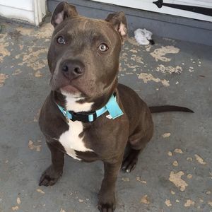 Meet your Posher, Renee