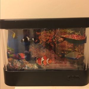 Meet your Posher, Anasta