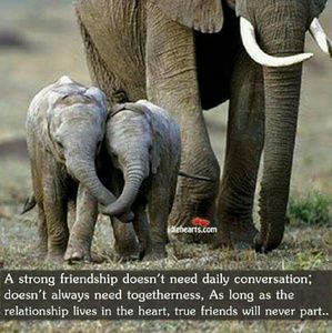 Meet your Posher, Terri