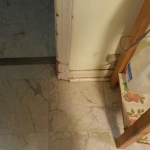 Meet your Posher, Dawn