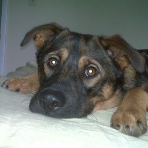 Meet your Posher, Jamie