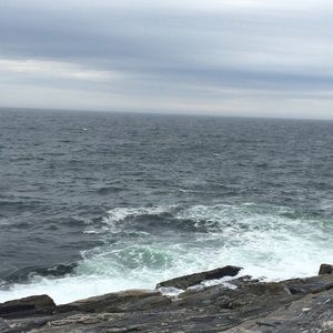 Meet your Posher, Gracey