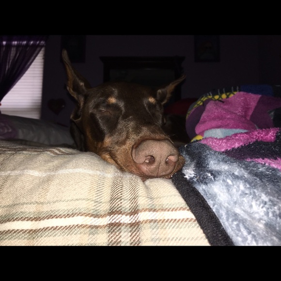 Meet your Posher, Stephanie - Picture 4 of 4