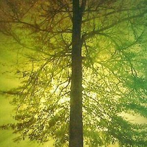 Meet your Posher, Rob