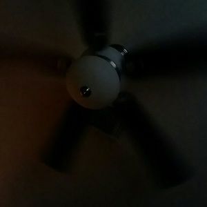 Meet your Posher, Isaiah