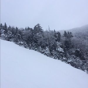 Meet your Posher, Sally