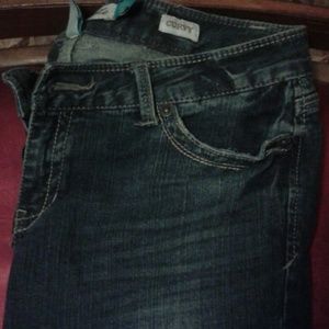 Aeropostale Hailey Skinny Flare Curvy Jeans