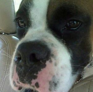 Meet your Posher, Nancy