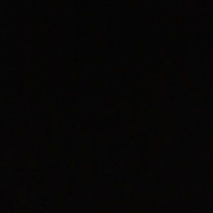 Meet your Posher, Bella