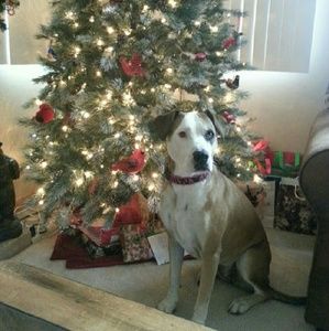 Meet your Posher, Jaime