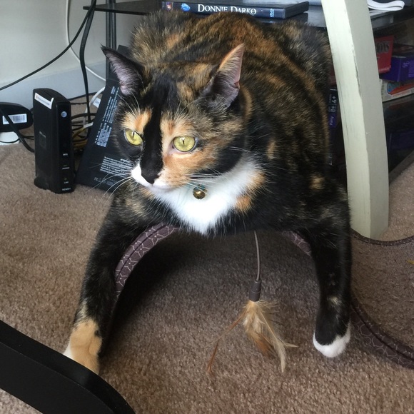 Meet your Posher, Jess - Picture 5 of 8