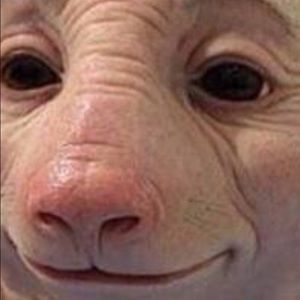 Meet your Posher, Ben