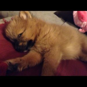 Meet your Posher, Patti