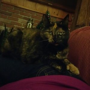 Meet your Posher, Miranda