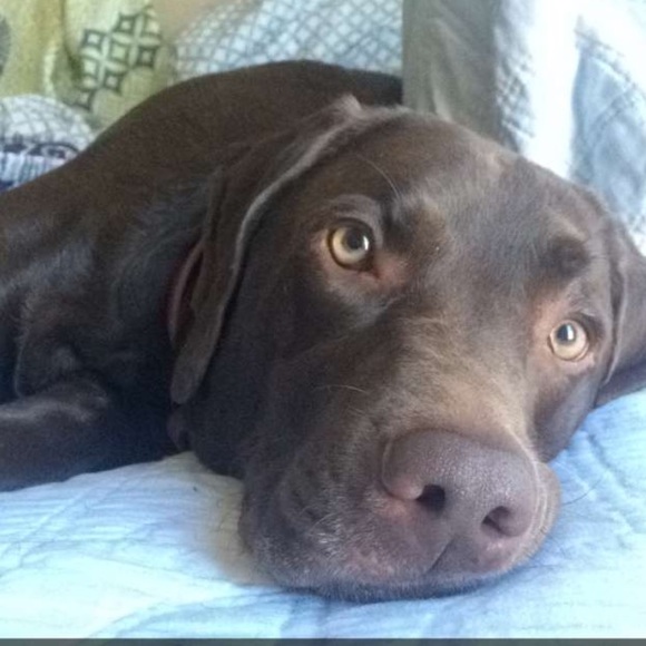 Meet your Posher, EJ