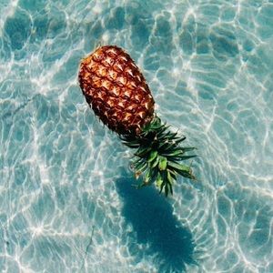 Meet your Posher, Jen