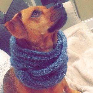 Meet your Posher, Alex