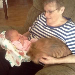 Meet your Posher, Wanda