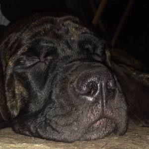 Meet your Posher, Leah