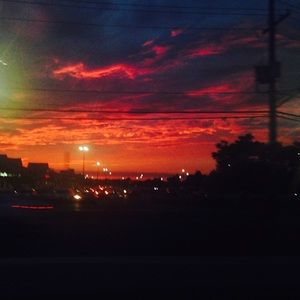 Meet your Posher, Sophia