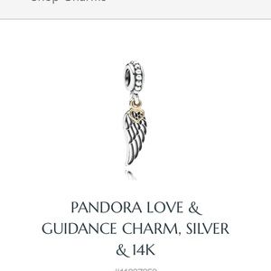 Love and guidance charm !