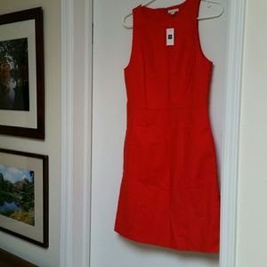 GAP Red Dress with tag