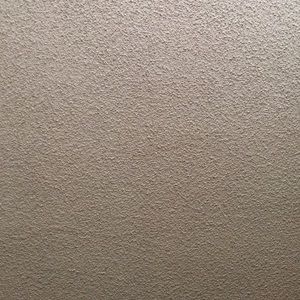 Meet your Posher, Ariana