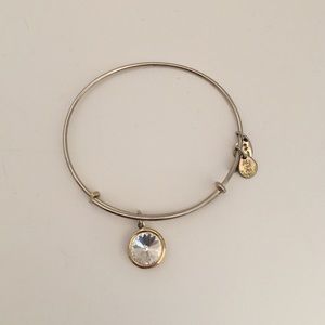 Crystal Alex & Ani