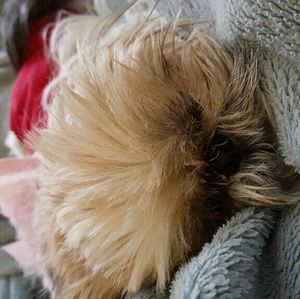 Meet your Posher, Shannon