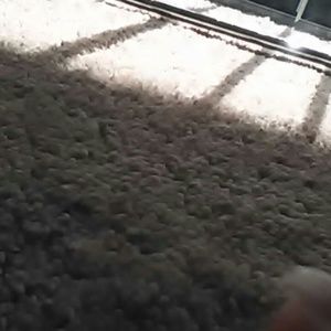 Meet your Posher, Pedro