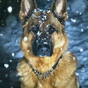 Meet your Posher, Tonia