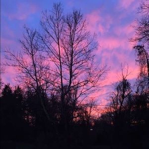 Meet your Posher, Allie