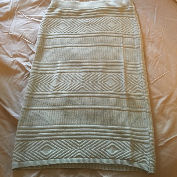 American Apparel High Waisted Skirt