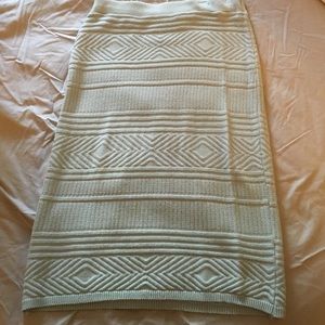 American Apparel High Waisted Skirt