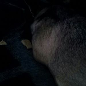 Meet your Posher, Brandy