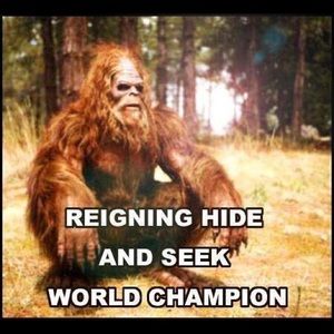 Meet your Posher, Tracee