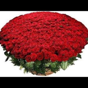 Meet your Posher, Polina