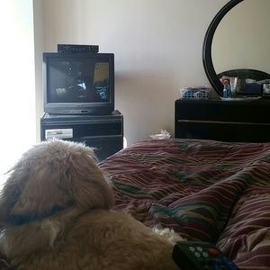 Meet your Posher, Stef