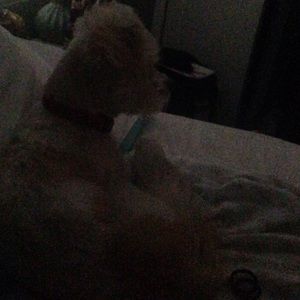 Meet your Posher, Celena