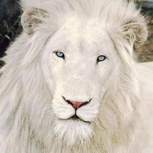 Meet your Posher, Claire