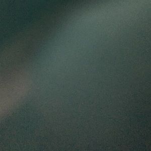 Meet your Posher, Coral